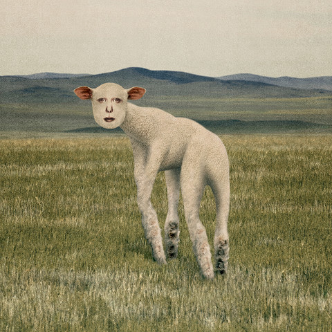 THORNAPPLE - ANIMAL (EP ALBUM)