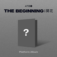 ATBO - THE BEGINNING (ATBO DEBUT ALBUM) PLATFORM VER.