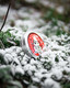 Love Paws® -tassuvaha Winter Edition 40 ml