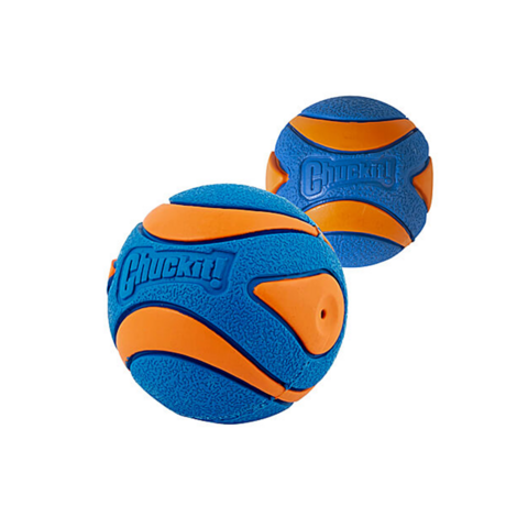 Chuckit Ultra Squeaker Ball