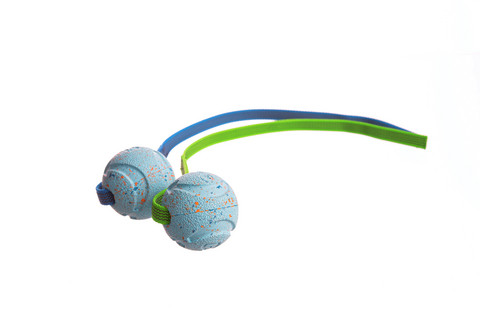 Chuckit! Rebounce Ball Gripillä