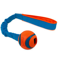 Zayma Chuckit! Ultra Ball Bungee
