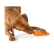 Planet Dog Orbee Tuff Porkkana