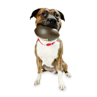 Planet Dog Orbee Tuff Football