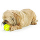 Planet Dog Orbee Tuff Tennis