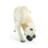 Planet Dog Orbee Tuff Coal