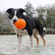 Planet Dog Orbee Tuff Sol