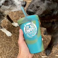 Wilderdog Silipint muki 4,7 dl