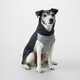 PAIKKA Recovery Winter Shirt - Palautumispaita, tummanharmaa