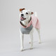 PAIKKA Recovery Winter Shirt - Palautumispaita, pinkki
