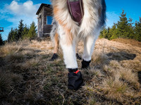 Non-Stop Solid Socks