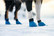 Non-Stop Long Distance Bootie