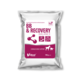 Vetfood Professional® BB & Recovery Balance - PÄIVÄYSTUOTE