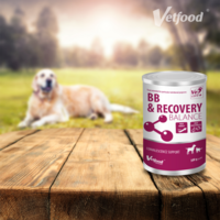 Vetfood Professional® BB & Recovery Balance - PÄIVÄYSTUOTE