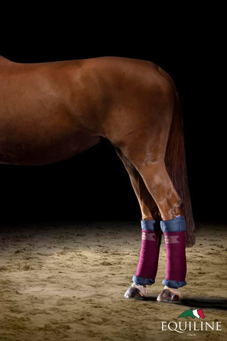 Equiline Quilted pintelipatjat (2kpl pakkaus)