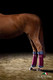 Equiline Quilted pintelipatjat (2kpl pakkaus)