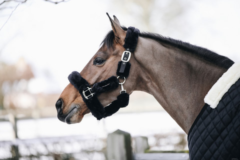 Kentucky Sheepskin Shipping Halter karvariimu, musta