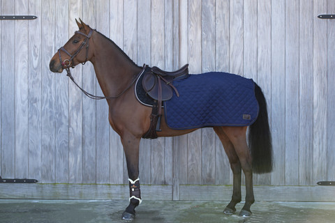 Kentucky Quater Rug 160g ratsastusloimi, musta ja navy