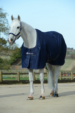Bucas Irish Stable Light 50g talliloimi, navy