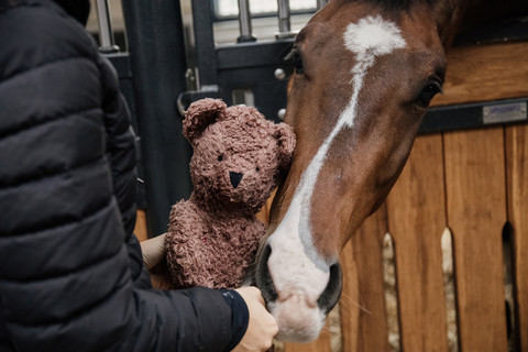 Kentucky Horse Toy Bear