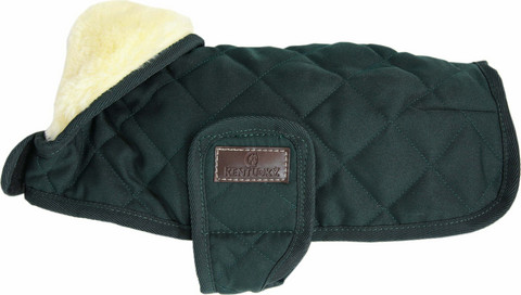 Kentucky Dog Coat, dark green, 46cm & 62cm