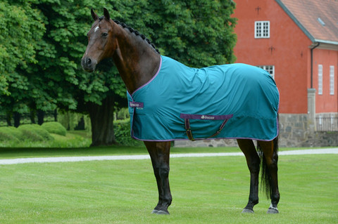 Bucas Freedom Twill Sheet -loimi, Green/Violet ja Violet/Green