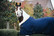 Kentucky Show Rug, navy