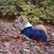 Kentucky Dog Coat, navy