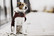 Kentucky Dog Coat, viininpunainen