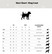 Kentucky Dog Coat, viininpunainen