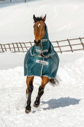Bucas Atlantic Turnout 400g +kaulakappale, 145cm