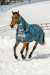 Bucas Atlantic Turnout 400g +kaulakappale, 145cm