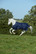 Bucas Freedom Turnout light vuoreton sadeloimi, navy, 155cm