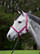 Bucas Dublin -riimu, berry/silver