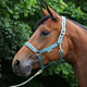 Bucas Dublin -riimu, atlantic green/silver