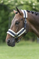 Equiline Tom karvariimu, navy, koko cob