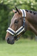 Equiline Tom karvariimu, navy, koko cob