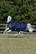 Bucas Freedom Turnout 150g fullneck ulkoloimi, tummansininen 145cm