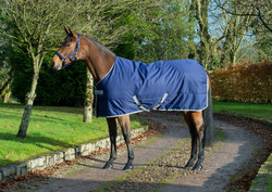 Bucas Freedom Stable 300g talliloimi, navy & ruskea