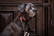 Kentucky koiran kaulapanta Plaited Nylon Dog collar, viininpunainen, 42cm