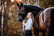 Kentucky Sheepskin Shipping Halter karvariimu, musta