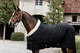 Kentucky Show Rug, musta, 160cm