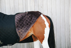 Kentucky Show Rug, musta, 160cm