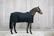 Kentucky 3D Spacer Cooler Sheet, tummansininen, koko 155cm