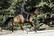 Kentucky Half Pad Intelligent Absorb Thin, musta