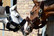 Kentucky Sheepskin Shipping Halter karvariimu, ruskea