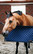 Kentucky Stable Guard ovivahti, navy