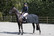 Kingsland Classic Padded Jacket Ladies, navy & musta