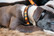 Kentucky koiran kaulapanta Collar Handmade Pearls, vihreä ja oranssi, koko S