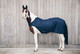 Kentucky Walker rug, navy